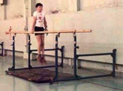 Брусья гимнастические пристенные массовые