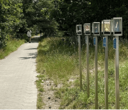 Природные парки: Разложение мусора, фото 3