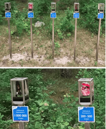 Природные парки: Разложение мусора, фото 2