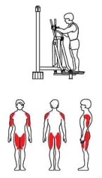 ZOV-011 Лыжник, фото 2 ZOV-011 Лыжник, фото 2