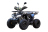 Квадроцикл UNIVERSAL ATV 125 TM Fusion