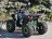 Квадроцикл RMOTO Lion 125AR Lite