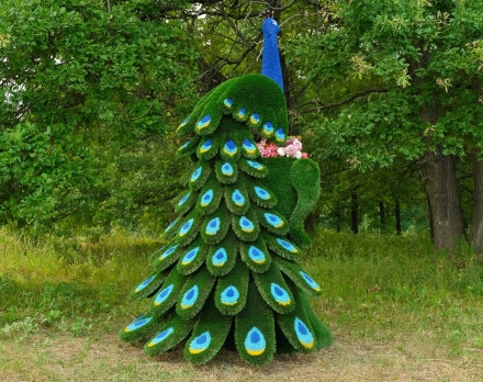 Топиари павлин Корица - газон Premium, фото 3