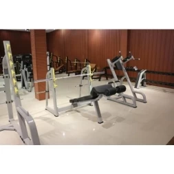 E-1041В Скамья-стойка для жима под углом вниз (Olympic Decline Bench), фото 3