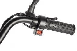 Трицикл Eltreco Porter Fat 500, фото 8