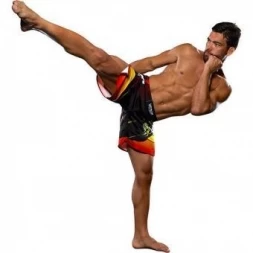 Шорты ММА Venum Lyoto Machida &quot;Tatsu King&quot; Fightshorts - Black/Orange, фото 2
