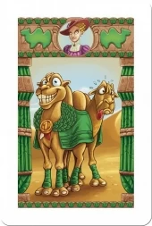 Camel Up!, фото 2