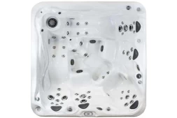 Бассейн СПА гидромассажный Premium Leisure Go 8 (231х231х89см.)
