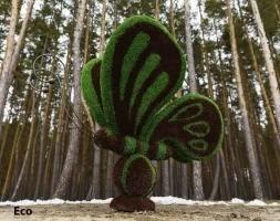 Топиари бабочка Какао - газон Eco, фото 1