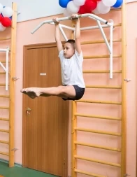Брусья-турник навесные на шведскую стенку универсальные, фото 3