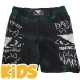 Шорты Bad Boy badshorts083