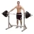 Стойка для жимов и приседаний Body-Solid PSS60X