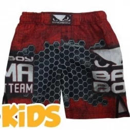 Шорты Bad Boy badshorts078