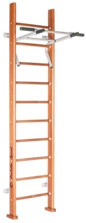 Детский спортивный комплекс (ДСК) &quot;Perfetto sport&quot; Rapido PS-102, фото 1