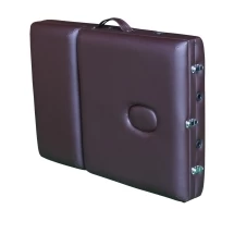 Массажный стол DFC NIRVANA Relax Pro TS3022_B1