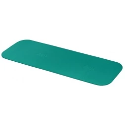 Гимнастический коврик AIREX Fitline 200