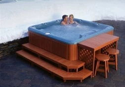 спа-бассейн Sundance Spas Hartford, фото 2