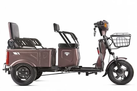 Трицикл Rutrike Вагон, фото 2