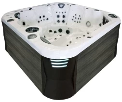 СПА бассейн Coast Spas Apex Elite, фото 2
