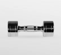BRONZE GYM BG-PA-DB-C05 Гантель хромированная 5 кг