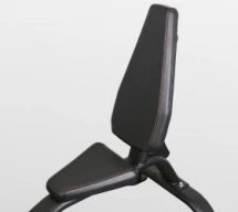 BRONZE GYM BR-1003 Скамья-стул