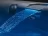 спа-бассейн Jacuzzi J-365