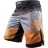 Шорты Hayabusa hayshorts063