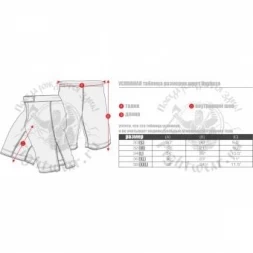 Шорты Hayabusa hayshorts063, фото 2