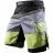 Шорты Hayabusa hayshorts064