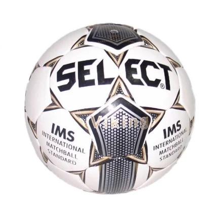 Мяч футбольный Select Viking № 4, фото 1