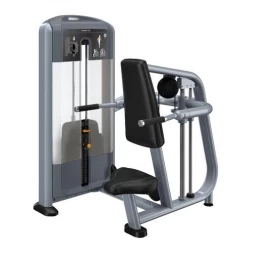 Tpeнaжep Отжимание на брусьях PRECOR DSL215