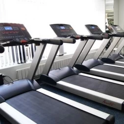 Беговая дорожка электрическая 8700TM AeroFit  , фото 3