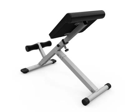 Гиперэкстензия DFC Homegym SJ1006W белый, фото 2