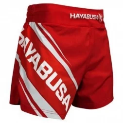 Шорты Hayabusa hayshorts089, фото 1