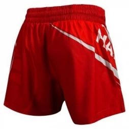 Шорты Hayabusa hayshorts089, фото 2