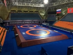 Помост для борьбы на три ковра 41,5х15,5х0,8 м СТ-180, фото 2