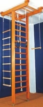 Детский спортивный комплекс (ДСК) &quot;Карусель 2Д.04.01&quot;, орех