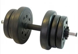 Гантель сборная Lite Weights 10 кг х 1шт