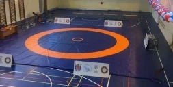 Ковёр борцовский 12х12х0,05 м, эквивалентно пл.180 кг/м3 (ППЭ, трёхцветный) СТП-96, фото 5