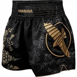 Шорты Hayabusa haytshorts014, фото 1
