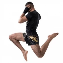 Шорты Hayabusa haytshorts014, фото 3