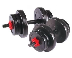 Гантель сборная Lite Weights 20 кг (10кг х 2шт)