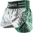Шорты Hayabusa haytshorts06