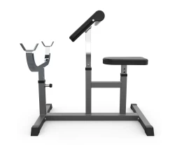 Скамья Скотта DFC Homegym UB009G серый, фото 3