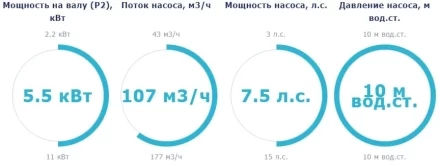 Насос с префильтром Saci Pumps Magnus-4 107м3/ч 380В, фото 2