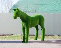 Топиари &quot;Конь&quot;