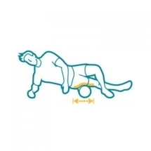 Ролик для пилатес  BALANCED BODY Magic Roller, цвет: водопад