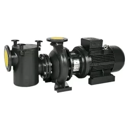 Насос с префильтром Saci Pumps CF-4 750, фото 1