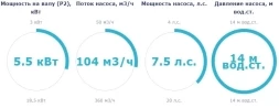 Насос с префильтром Saci Pumps CF-4 750, фото 2