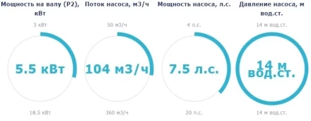 Насос с префильтром Saci Pumps CF-4 750, фото 2